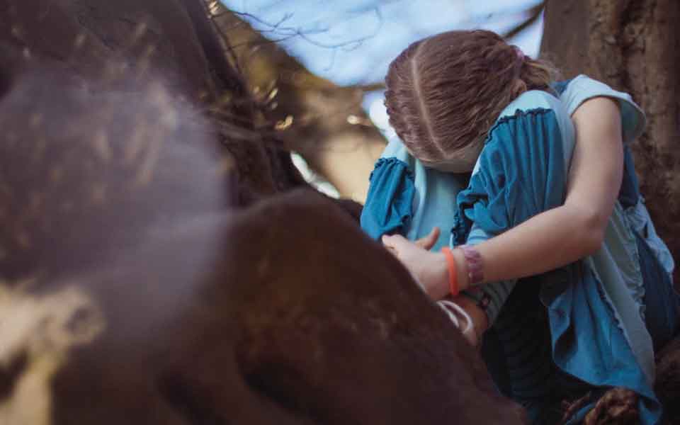 Mariposa Kurzfilm | Sandra Moser Drehbuch / Regie